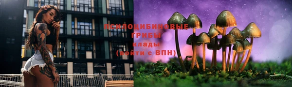 стаф Алексеевка