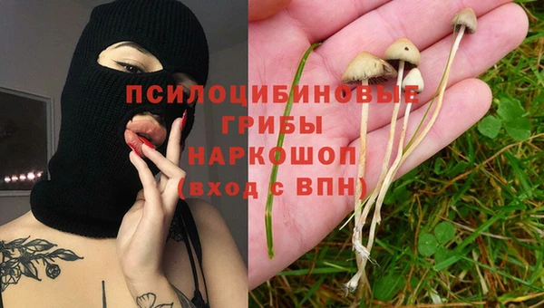 сатива Абдулино